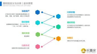 上海网络技术服务 构筑智慧城市神经中枢