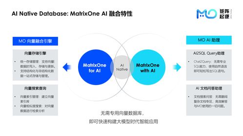 MatrixOne Meetup 上海站回顾 技术碰撞与开源生态的融合之夜